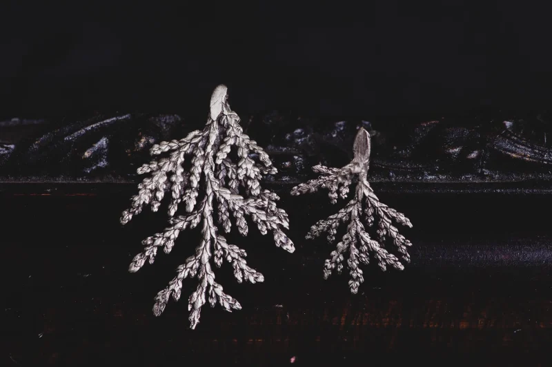 An image showing a pair of Juniper Sterling Silver Earrings, handcrafted by Marren Jewelry in Greece.