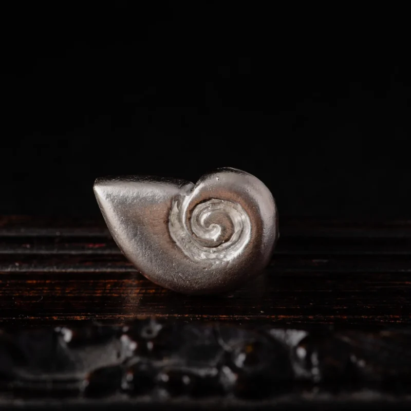An image showing a sterling silver hand sculpted nautilus ring from the front
